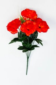 Гвоздика "Асмус" 6 цветков