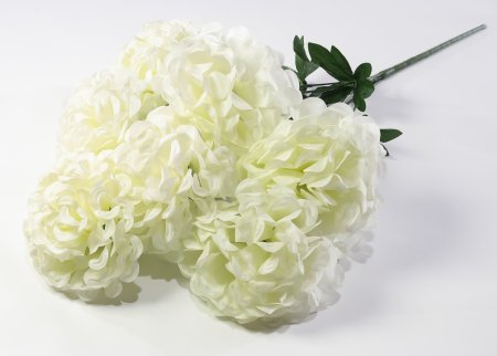 Букет шафрана "Великан" 7 цветков