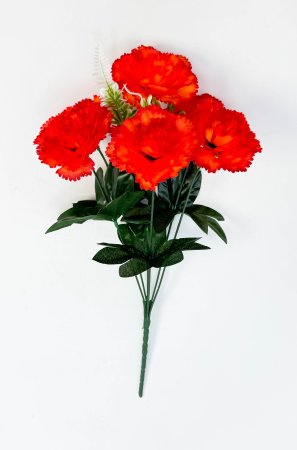 Гвоздика "Асмус" 6 цветков