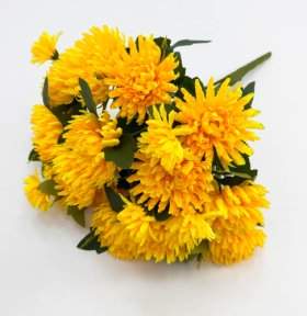 Астра Павлин 15 цветков 6 бутонов