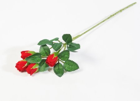 Ветка с мелкой розой