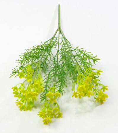 Лютик полевой желтый