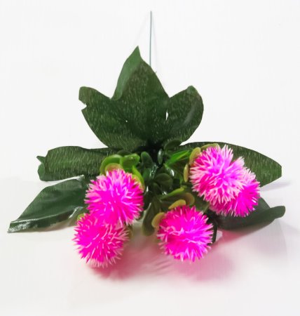 Репей садилка 5 цветков