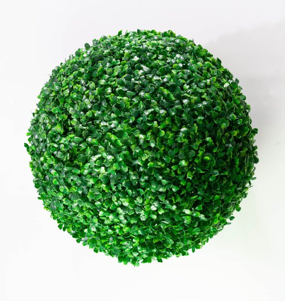 Самшит №5 темный