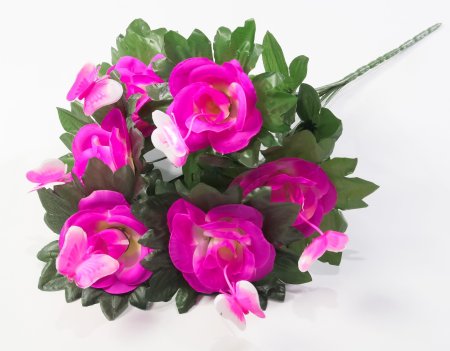 Букет роз с бабочкой 6 цветков