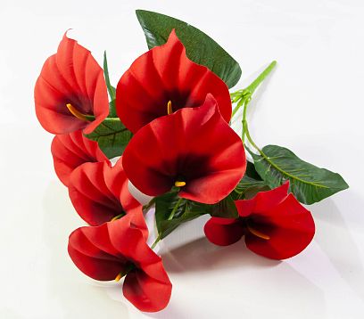 Букет калл "Тереза" 7 цветков от магазина KALINA являющийся официальным дистрибьютором в России 