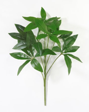 картинка Ветка шефлеры от магазина KALINA