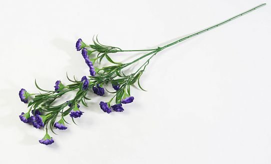 Ветка гвоздики 20 цветков фиолетовая от магазина KALINA являющийся официальным дистрибьютором в России 