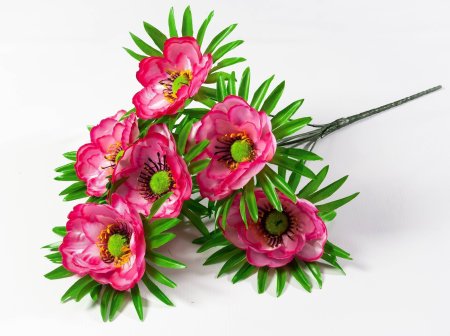 077bc9c899d7334aa85a43d83e683d44