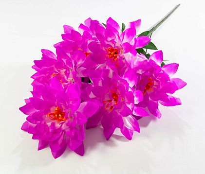 Георгин "Великан" 6 цветков от магазина KALINA являющийся официальным дистрибьютором в России 