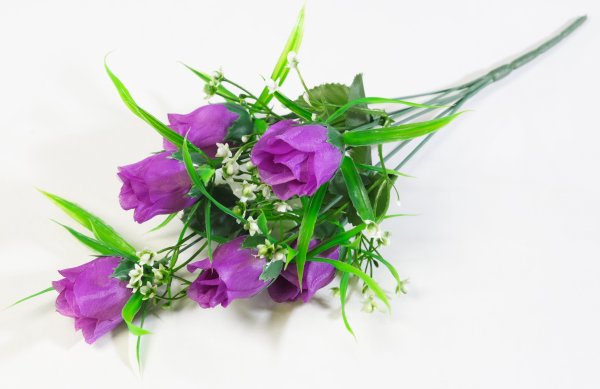 Роза "Сольфеджио" 6 цветков