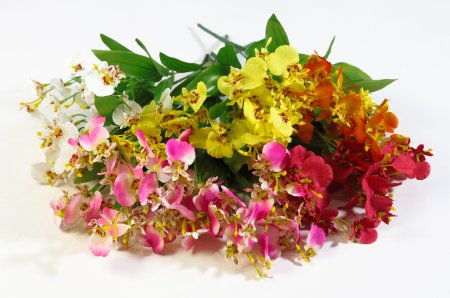 Орхидея "Милашка"