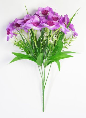 Нарцисс "Лига" 20 цветков