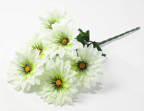Георгин "Алинка" 6 цветков от магазина KALINA являющийся официальным дистрибьютором в России 