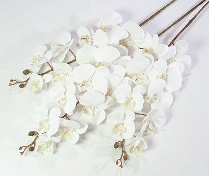 Ветка орхидеи 16 от магазина KALINA являющийся официальным дистрибьютором в России 
