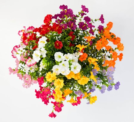 Петуния "Мини" 21 цветок