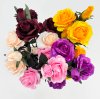 Роза "Карнавал" 5 цветков 3 бутона