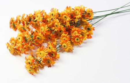 Ветка ромашек "Суприм"