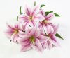 Букет лилий латекс 5 цветков