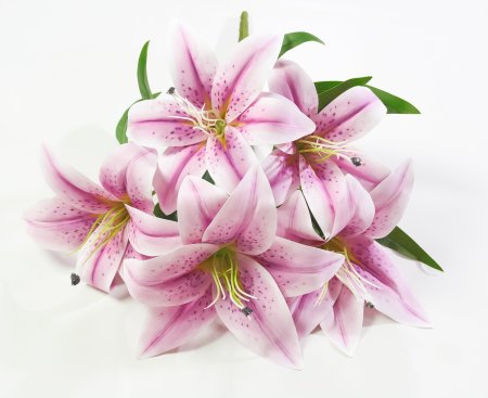 Букет лилий латекс 5 цветков