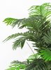 Пальма 4 ствола 160 см