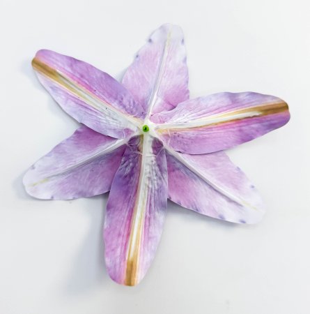 Насадка лилии латекс фиолет