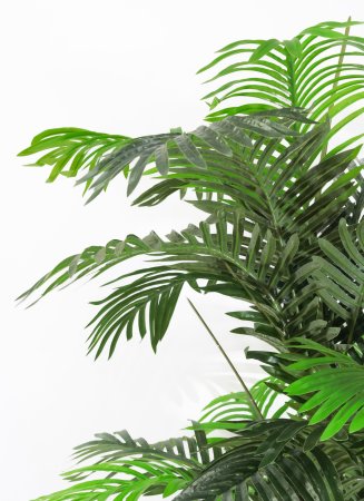 Пальма 4 ствола 160 см