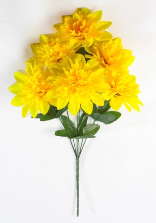 Шафран "Звезда малая" 6 веток