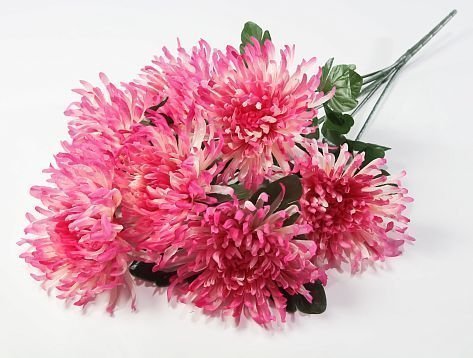 Астра "Кардинал" 7 цветков от магазина KALINA являющийся официальным дистрибьютором в России 