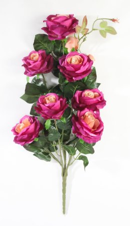 Ветка роз "Альф" 7 цветков 2 бутона