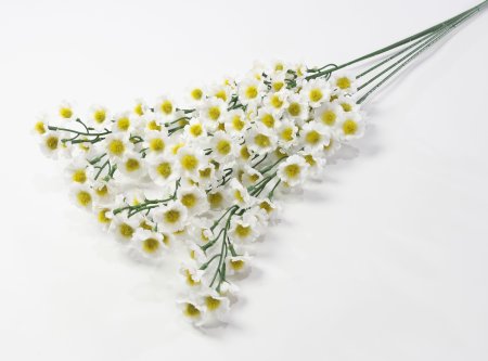 Ветка ромашек Суприм мелкая