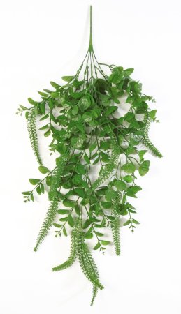 картинка Ампельная зелень Гранни от магазина KALINA