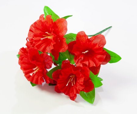 Петуния 7 веток