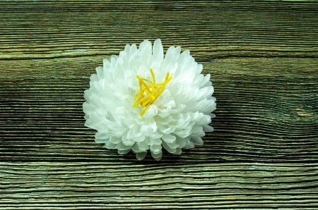 Насадка георгина "Ундина"