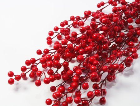 Ветка с красными ягодками