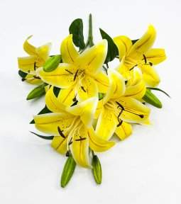 Лилия "Ферреро" 6 цветков