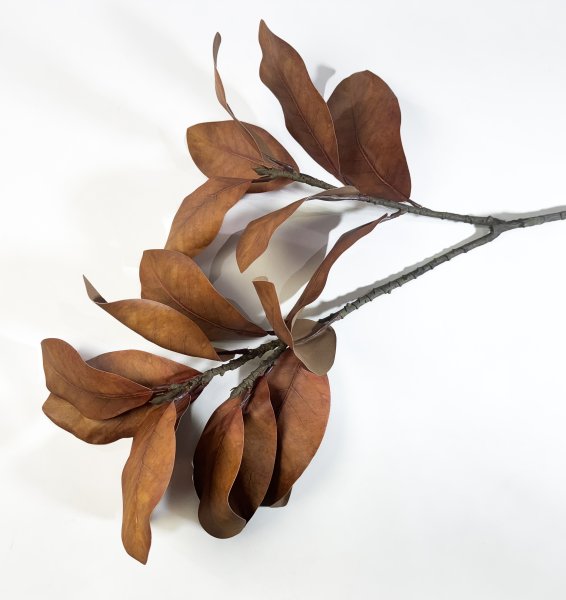 картинка Ветка магнолии "Осень" 17 листов от магазина KALINA