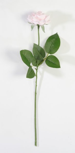 Роза с латексным покрытием открытая светло-розовая