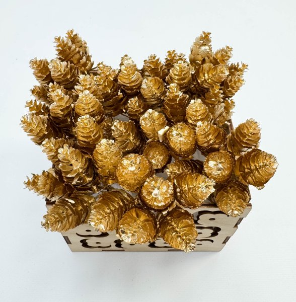 Шишка золото