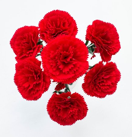 Гвоздика "Гренадин" 7 цветков 7 бутонов