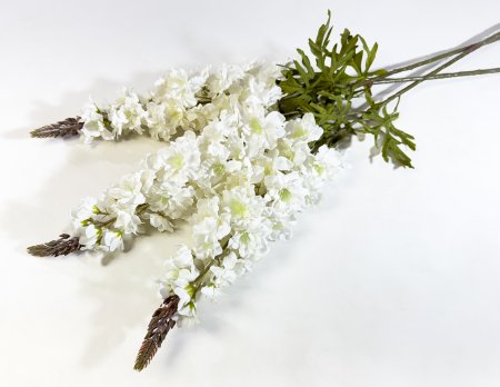 Дельфиниум Осень