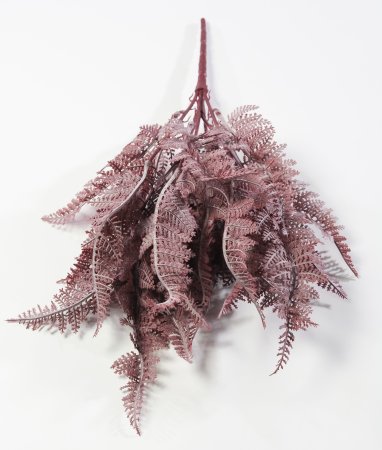 картинка Ветка даваллии Осень 21 лист от магазина KALINA