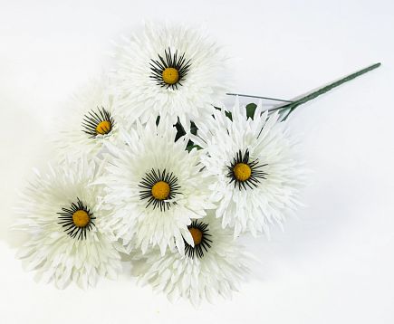Астра "Фокус малая" 6 цветков  от магазина KALINA являющийся официальным дистрибьютором в России 