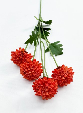 Георгин помпонный оранжевый