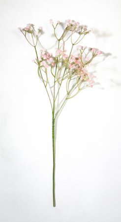 Ветка гипсофилы Персик