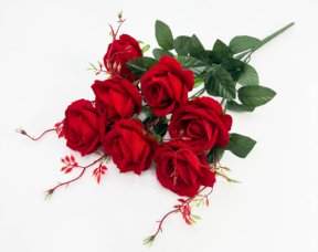 Роза Южная красавица 7 цветков