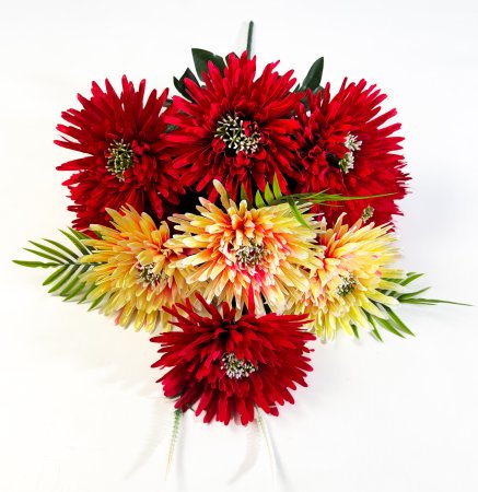 Астра Коллистар 9 цветков