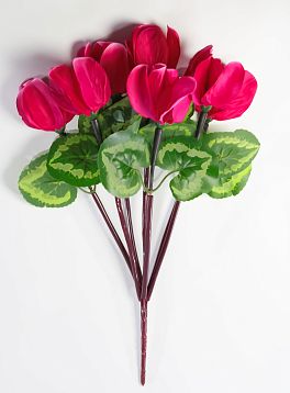 Цикламен 7 цветков от магазина KALINA являющийся официальным дистрибьютором в России 