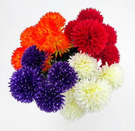 Хризантема "Престиж" 7 цветков