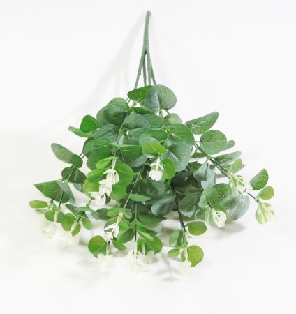 картинка Ветка эвкалипта "Глобулус" от магазина KALINA